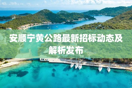 安順寧黃公路最新招標(biāo)動(dòng)態(tài)及解析發(fā)布