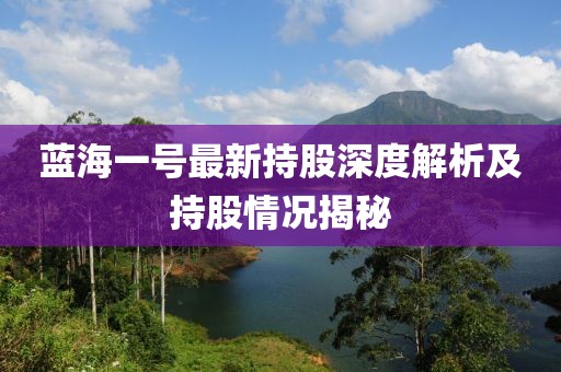 藍(lán)海一號(hào)最新持股深度解析及持股情況揭秘