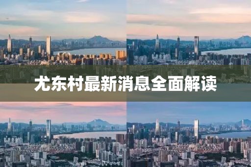 尤東村最新消息全面解讀