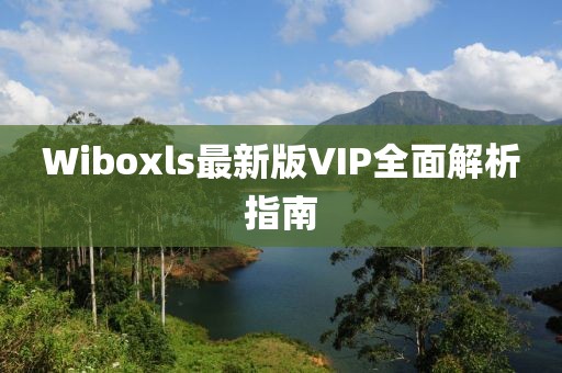 Wiboxls最新版VIP全面解析指南