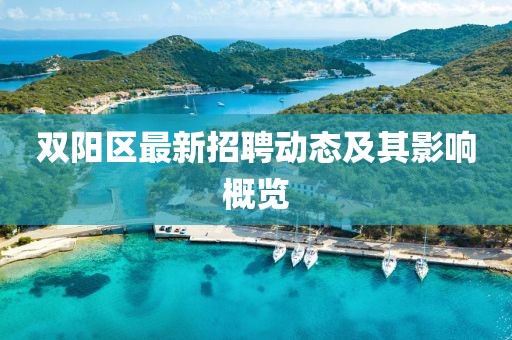雙陽區(qū)最新招聘動態(tài)及其影響概覽