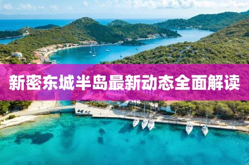 新密東城半島最新動態(tài)全面解讀
