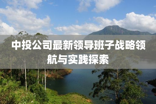 中投公司最新領導班子戰(zhàn)略領航與實踐探索