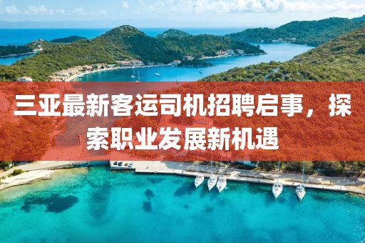 三亞最新客運司機招聘啟事，探索職業(yè)發(fā)展新機遇