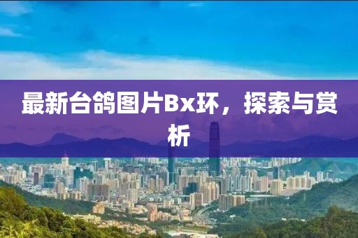 最新臺鴿圖片Bx環(huán)，探索與賞析