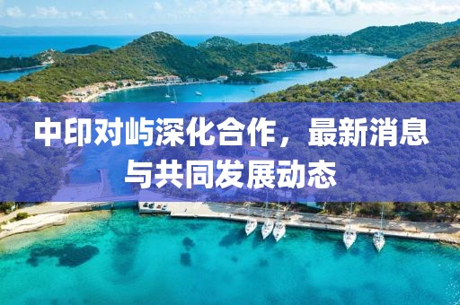 中印對(duì)嶼深化合作，最新消息與共同發(fā)展動(dòng)態(tài)