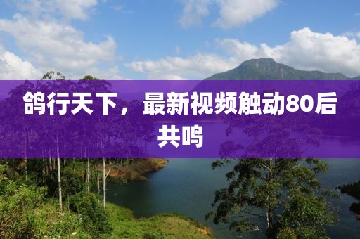 鴿行天下，最新視頻觸動80后共鳴