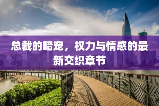 總裁的暗寵，權力與情感的最新交織章節(jié)