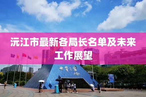沅江市最新各局長(zhǎng)名單及未來工作展望