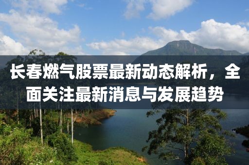 野望 第13頁(yè)
