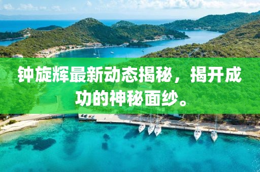 鐘旋輝最新動態(tài)揭秘，揭開成功的神秘面紗。