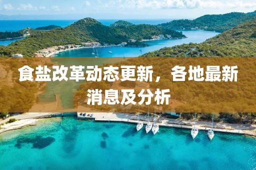 食鹽改革動態(tài)更新，各地最新消息及分析