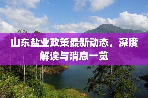 山東鹽業(yè)政策最新動態(tài)，深度解讀與消息一覽