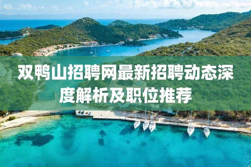 雙鴨山招聘網(wǎng)最新招聘動態(tài)深度解析及職位推薦