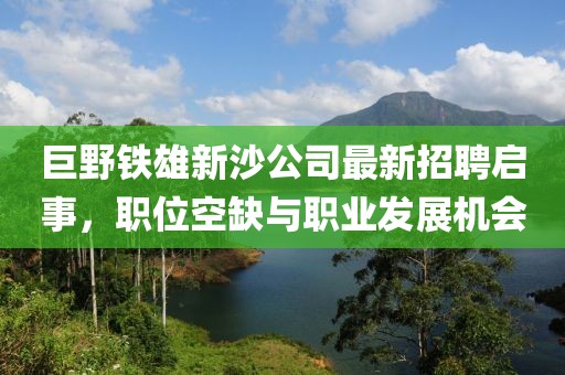 巨野鐵雄新沙公司最新招聘啟事，職位空缺與職業(yè)發(fā)展機(jī)會