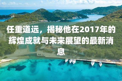 任重道遠，揭秘他在2017年的輝煌成就與未來展望的最新消息
