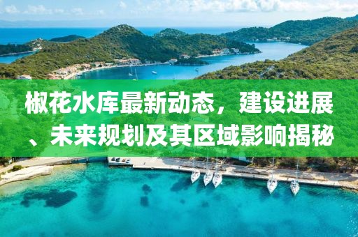 椒花水庫最新動態(tài)，建設(shè)進(jìn)展、未來規(guī)劃及其區(qū)域影響揭秘