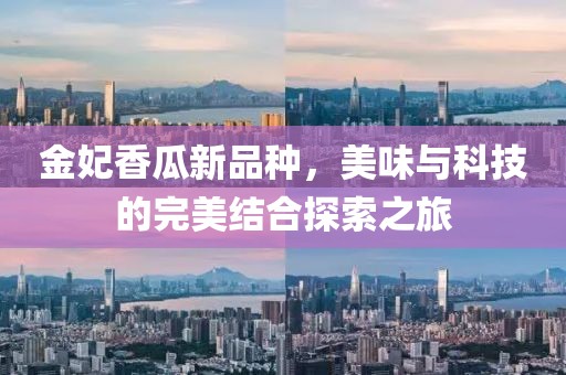 金妃香瓜新品種，美味與科技的完美結(jié)合探索之旅