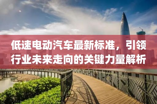 低速電動汽車最新標準，引領行業(yè)未來走向的關鍵力量解析