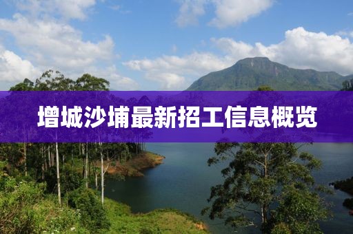 增城沙埔最新招工信息概覽