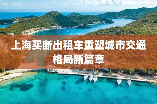上海買(mǎi)斷出租車(chē)重塑城市交通格局新篇章