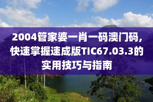 2004管家婆一肖一碼澳門碼,快速掌握速成版TIC67.03.3的實用技巧與指南
