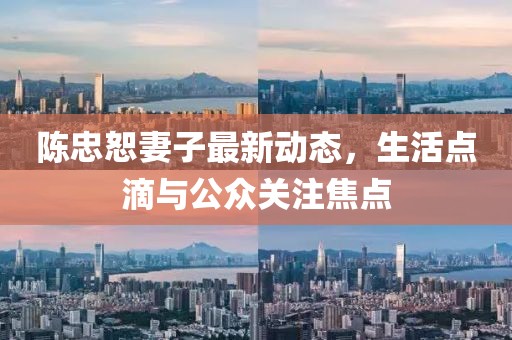 陳忠恕妻子最新動(dòng)態(tài)，生活點(diǎn)滴與公眾關(guān)注焦點(diǎn)