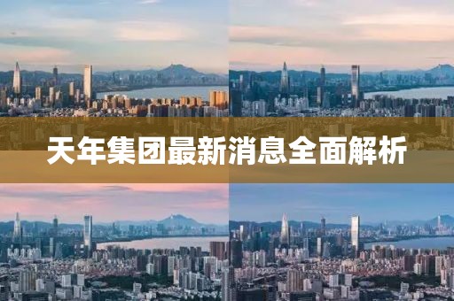 天年集團最新消息全面解析