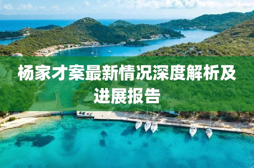 楊家才案最新情況深度解析及進(jìn)展報告