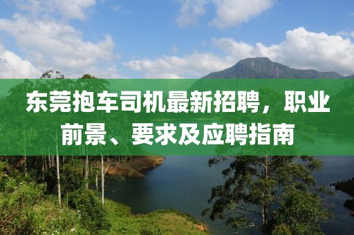 東莞抱車司機(jī)最新招聘，職業(yè)前景、要求及應(yīng)聘指南