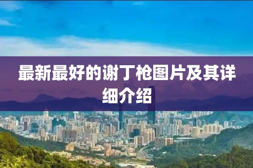 最新最好的謝丁槍圖片及其詳細(xì)介紹