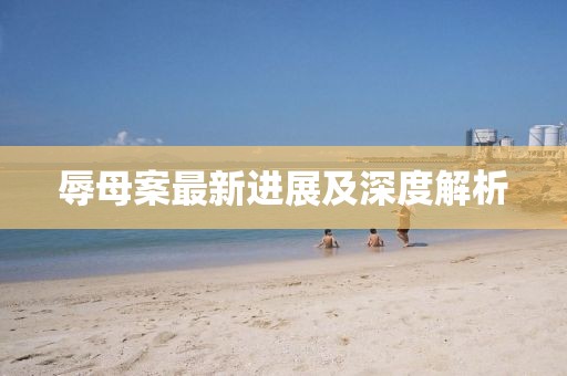 辱母案最新進展及深度解析