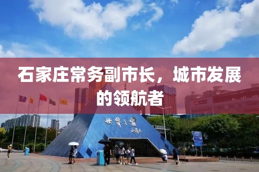 石家莊常務(wù)副市長，城市發(fā)展的領(lǐng)航者
