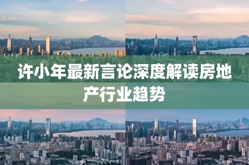 許小年最新言論深度解讀房地產(chǎn)行業(yè)趨勢