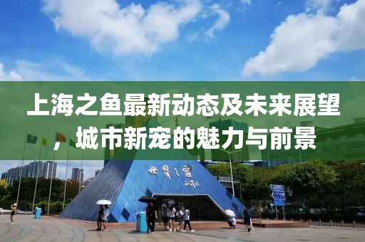 上海之魚最新動態(tài)及未來展望，城市新寵的魅力與前景