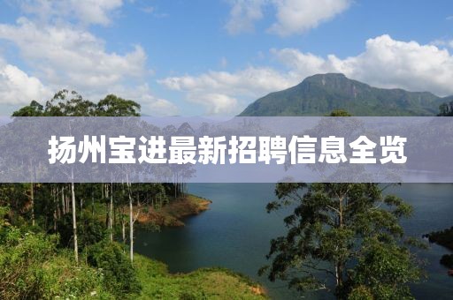 揚州寶進最新招聘信息全覽