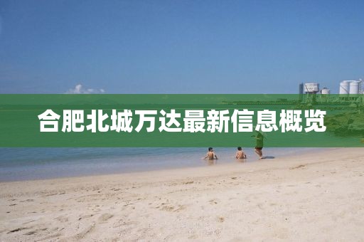 合肥北城萬達(dá)最新信息概覽