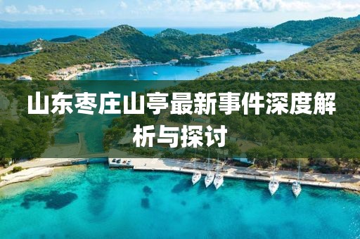 山東棗莊山亭最新事件深度解析與探討