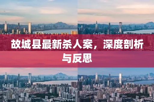 故城縣最新殺人案，深度剖析與反思