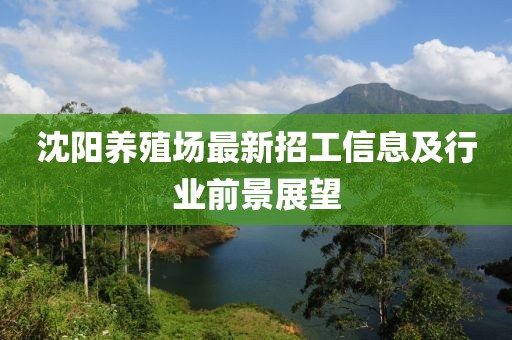 洋娃娃 第11頁