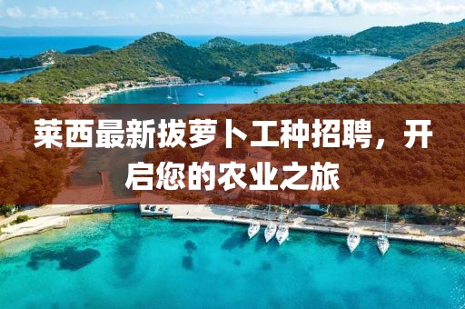 萊西最新拔蘿卜工種招聘，開啟您的農(nóng)業(yè)之旅
