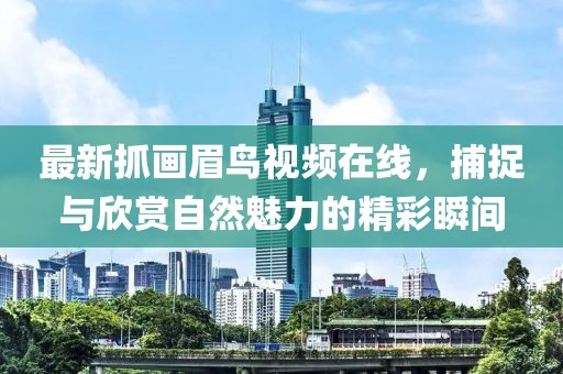 最新抓畫眉鳥視頻在線，捕捉與欣賞自然魅力的精彩瞬間
