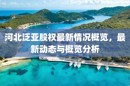 河北泛亞股權(quán)最新情況概覽，最新動(dòng)態(tài)與概覽分析