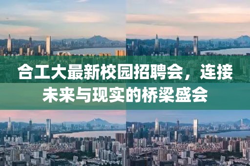 合工大最新校園招聘會，連接未來與現實的橋梁盛會