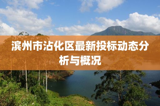 濱州市沾化區(qū)最新投標(biāo)動態(tài)分析與概況