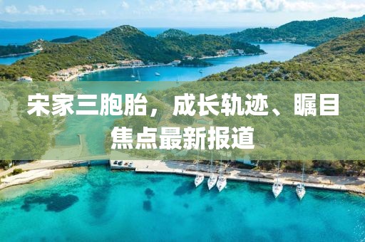 宋家三胞胎，成長(zhǎng)軌跡、矚目焦點(diǎn)最新報(bào)道