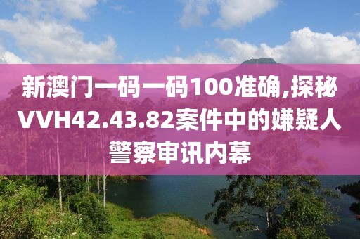 新澳門一碼一碼100準(zhǔn)確,探秘VVH42.43.82案件中的嫌疑人警察審訊內(nèi)幕