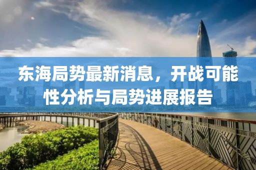 東海局勢(shì)最新消息，開戰(zhàn)可能性分析與局勢(shì)進(jìn)展報(bào)告