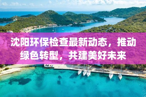 沈陽環(huán)保檢查最新動態(tài)，推動綠色轉(zhuǎn)型，共建美好未來