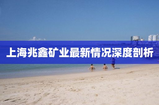 上海兆鑫礦業(yè)最新情況深度剖析